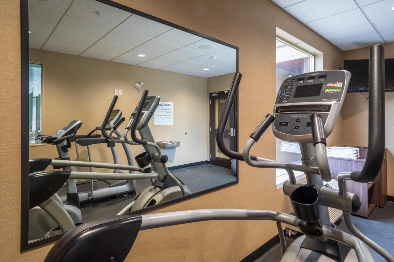 Express Golden-kicking Horse By Ihg 3*