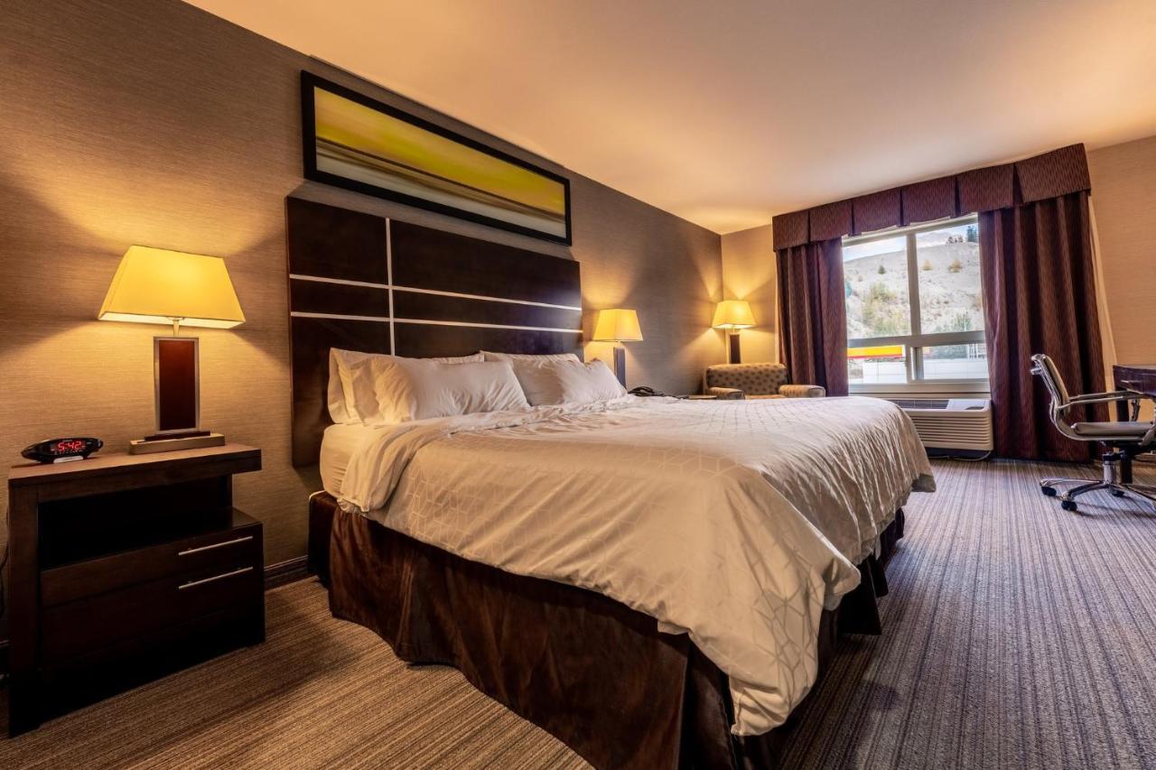 Express Golden-kicking Horse By Ihg 3*