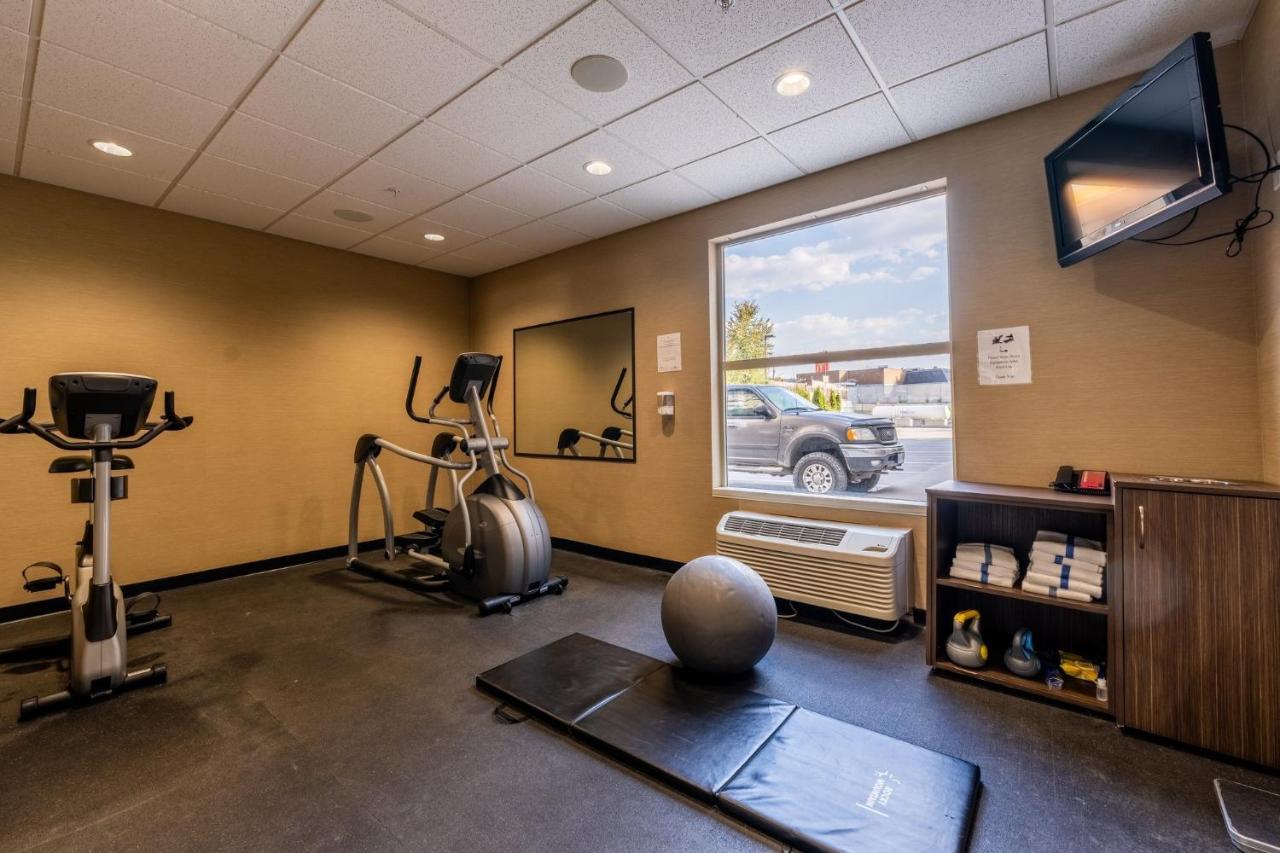 Express Golden-kicking Horse By Ihg Hotel