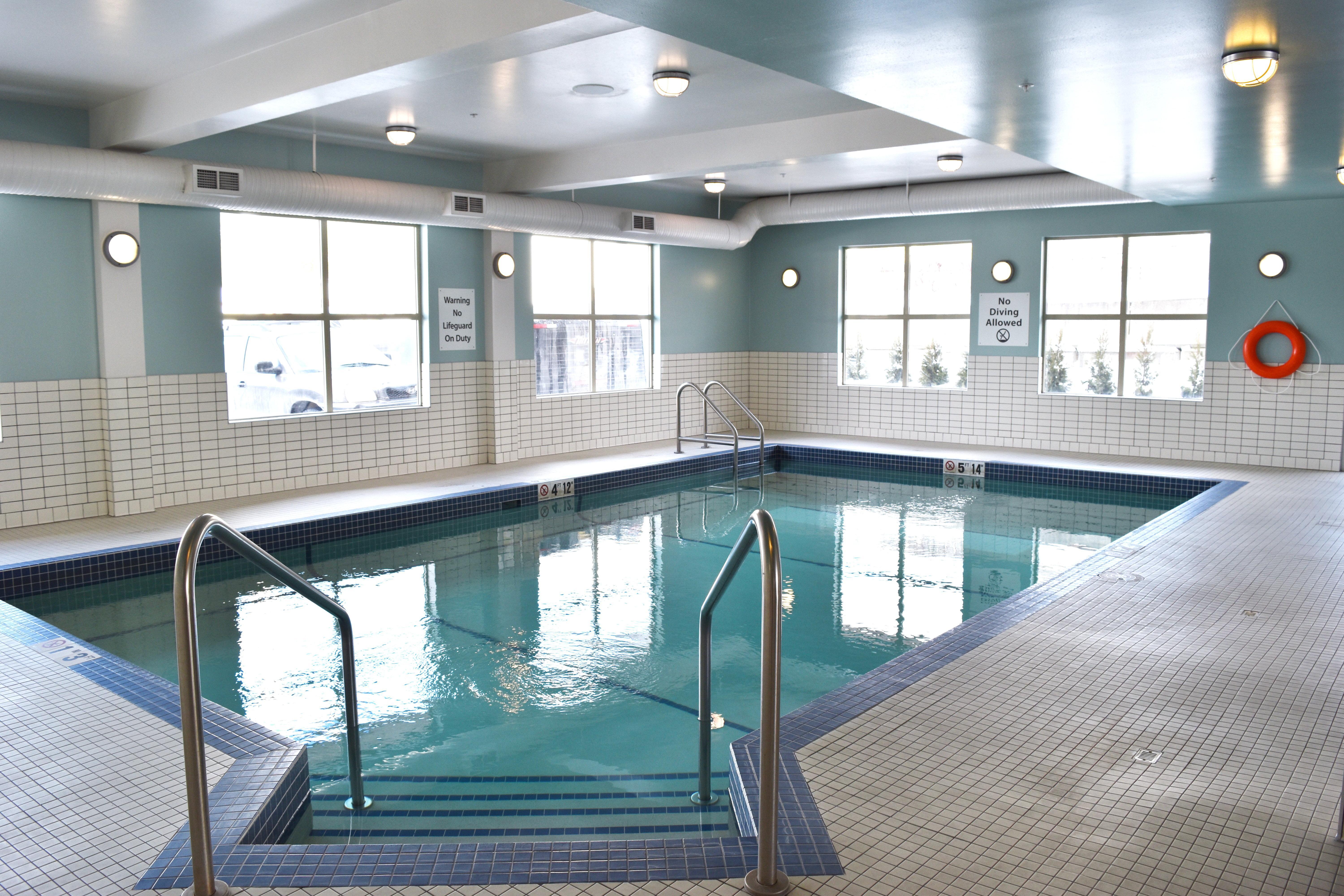 Express Golden-kicking Horse By Ihg 3*