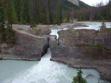 Express Golden-kicking Horse By Ihg 3* Golden