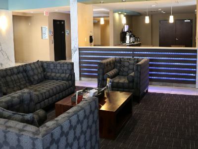 Express Golden-kicking Horse By Ihg Golden